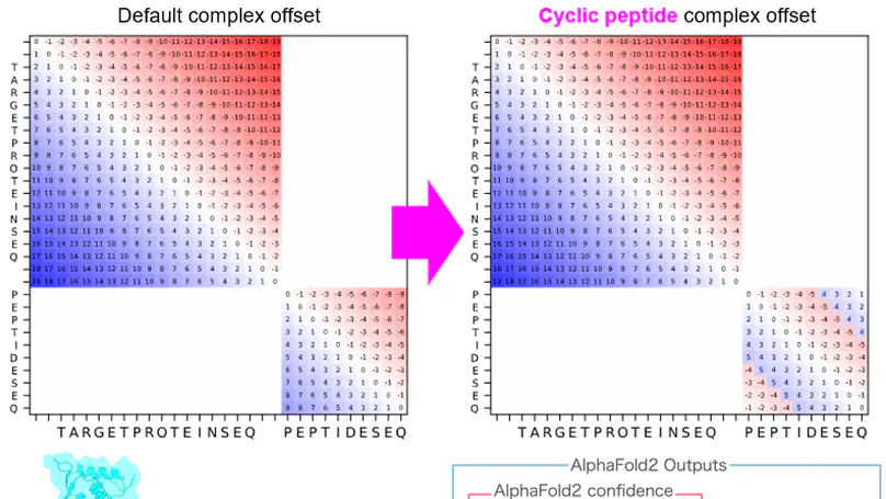 Design of Cyclic Peptides Targeting Protein-Protein Interactions using AlphaFold
