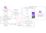 Solubility-Aware Protein Binding Peptide Design Using AlphaFold